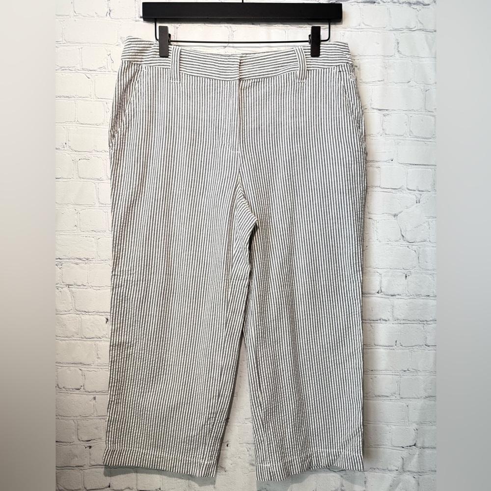 Duck  Head size 10 blue & white striped pants